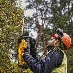 Corta sebes DEWALT XR 18V 5Ah 55cm refª DCMHT563P1-QW DEWALT Corta sebes DEWALT XR 18V 5Ah 55cm refª DCMHT563P1-QW DEWALT