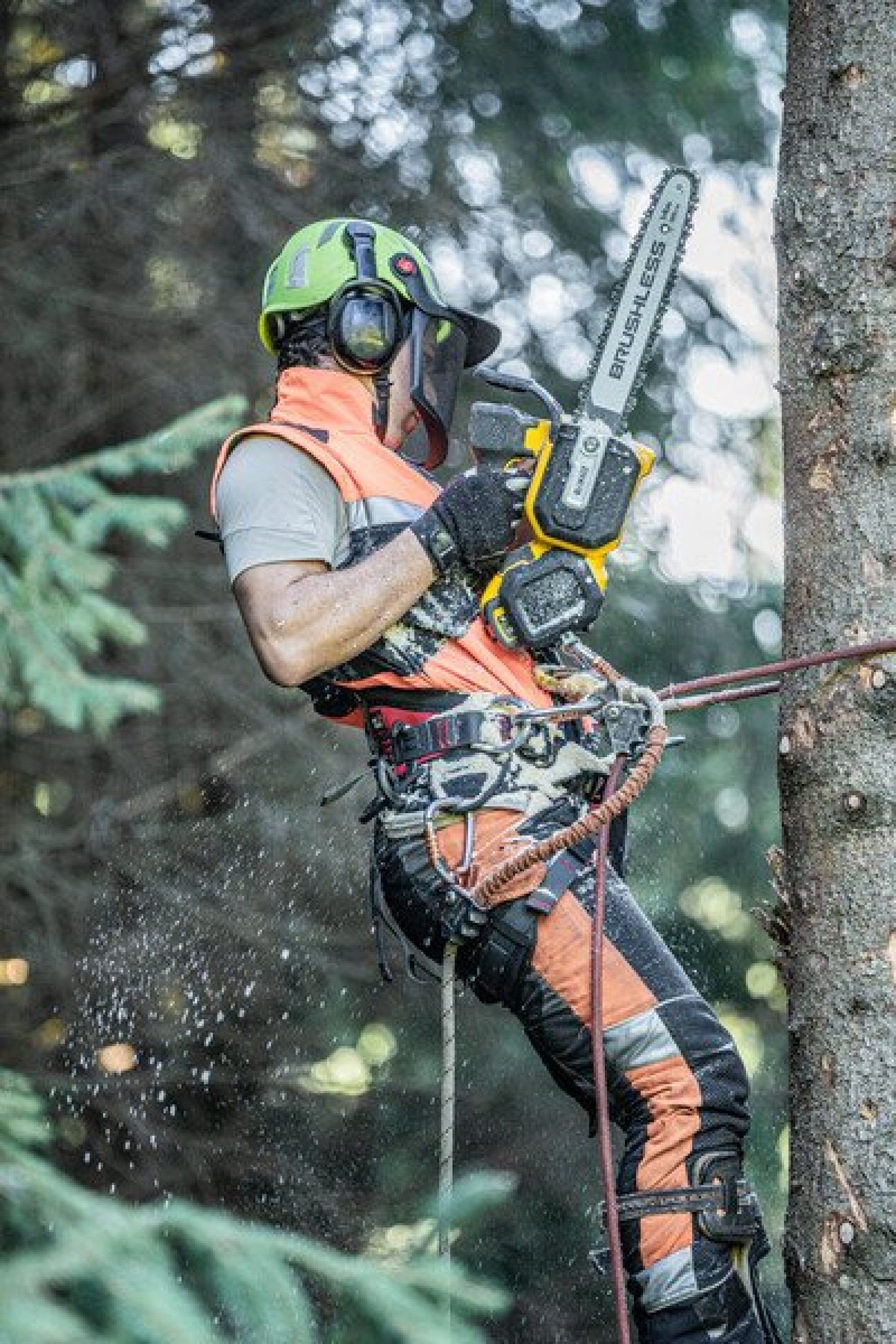 Electrosserra poda 35cm 54V XR Flexvolt Solo refª DCMCST635N-XJ Dewalt