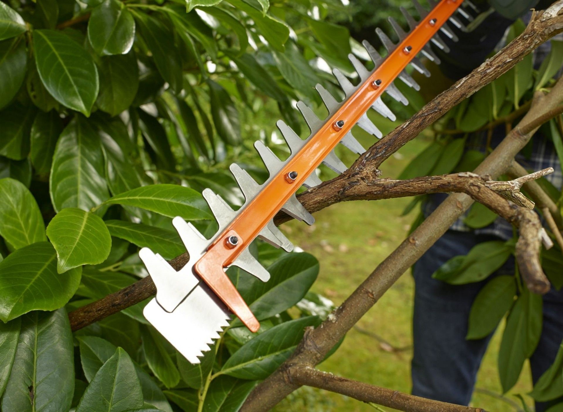 Corta-Sebes 550W 60CM com folha de serra refª BEHTS451 BLACK DECKER