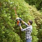 Corta-Sebes 500W 55CM com folha de serra ref BEHTS401 BLACK DECKER