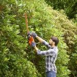 Corta-Sebes 420W 45CM ref BEHT201 BLACK DECKER