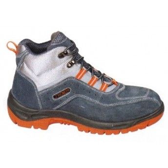 BOTA PIONER