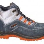 BOTA PIONER