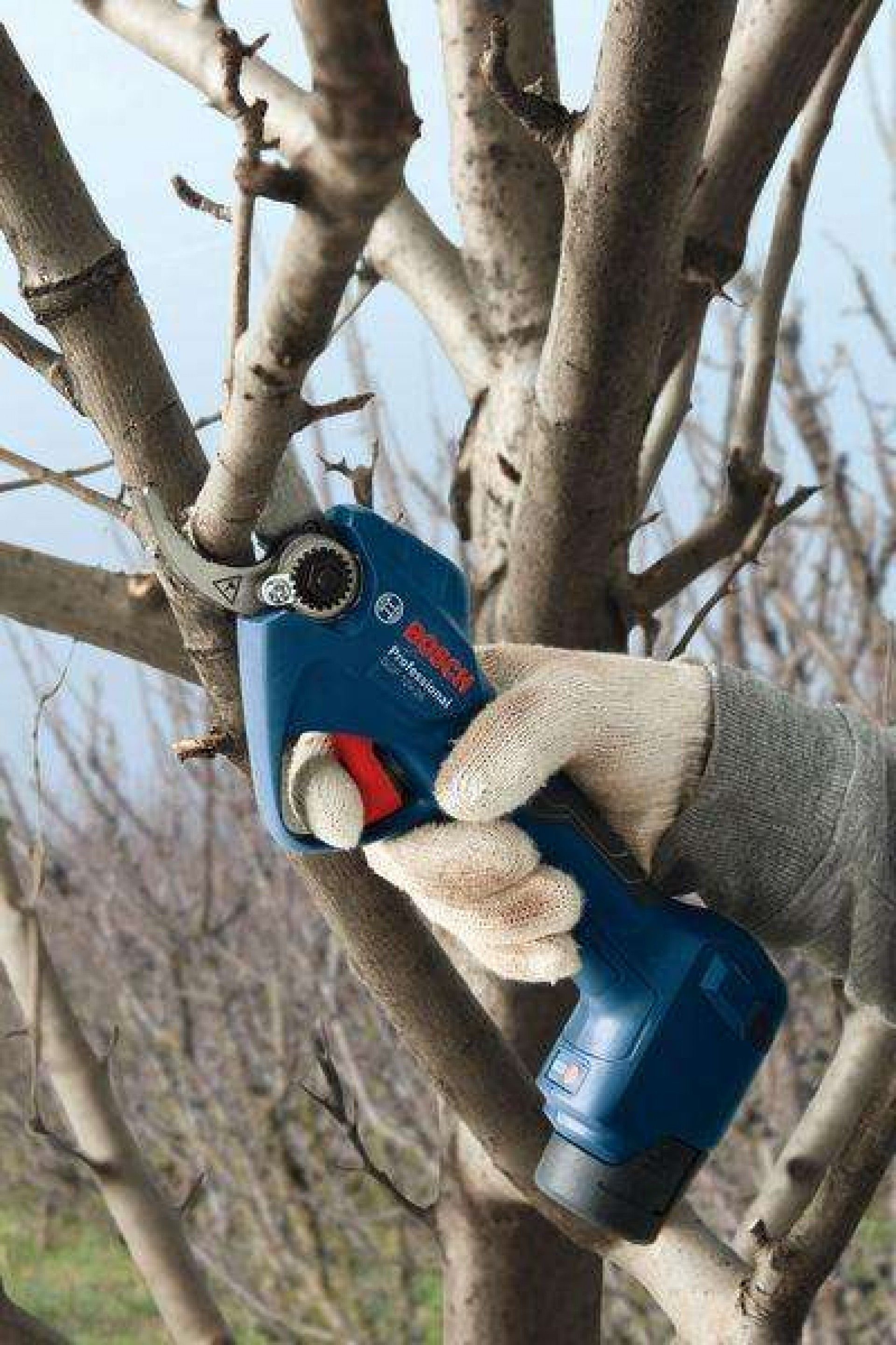 Tesoura de poda a bateria GGP 12V-25 (BT) refª 06008D8101 BOSCH