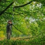 Serra corrente telescpica a bateria GKE 18V-25 TP Professional ref 06008D6000 BOSCH