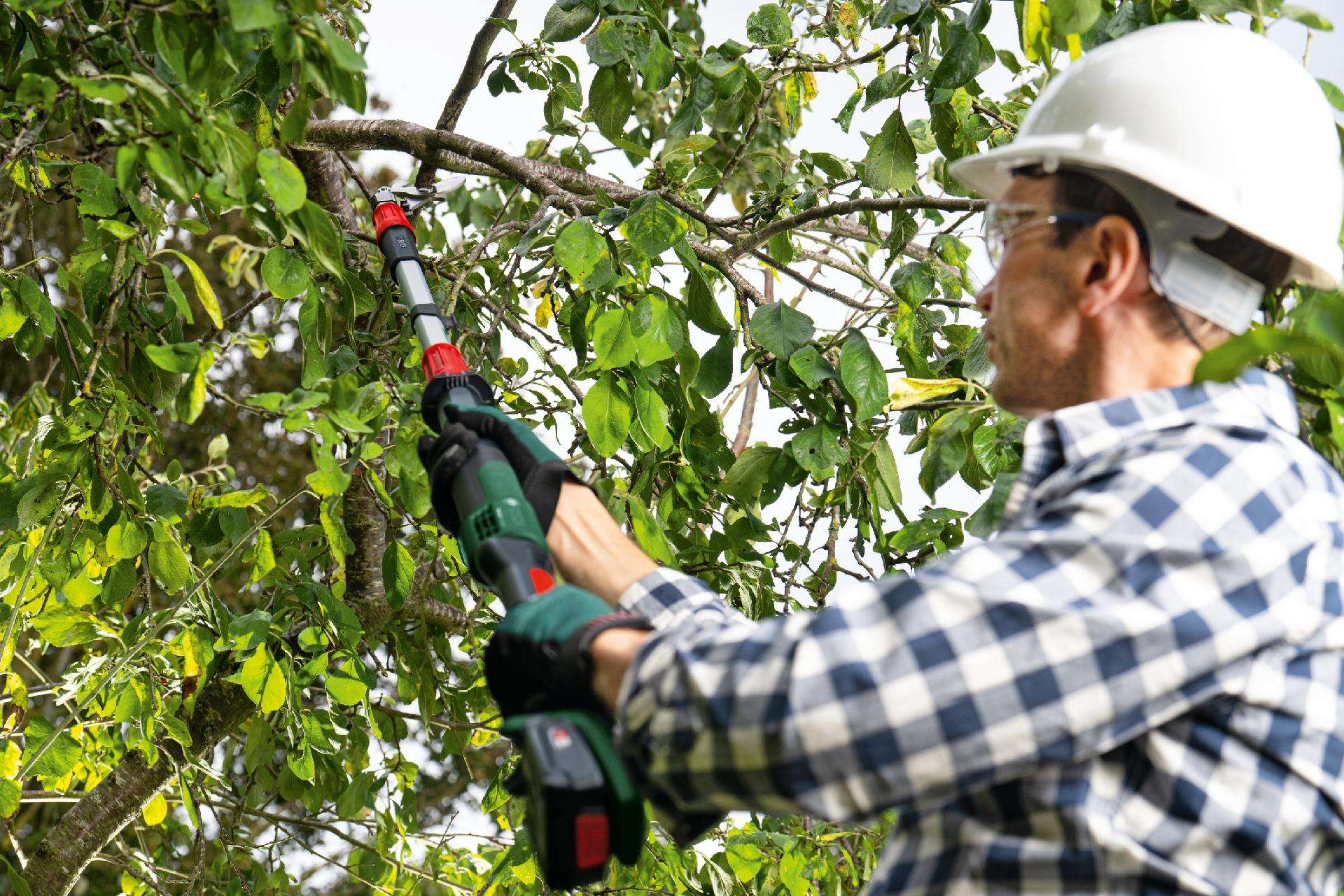 Podadora sem fio AdvancedPrune 18V-45 (long) (BT) refª 06008C5002 BOSCH