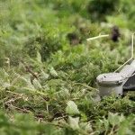 Roçadora AdvancedBrushCut 36V-23-750 refª 06008C1K03 BOSCH Roçadora AdvancedBrushCut 36V-23-750 refª 06008C1K03 BOSCH