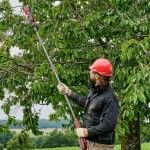 Tesoura de poda a bateria telescópica GP-LS 18/28 Li T BL-Solo refª 3408330 Einhell_OUTLET Tesoura de poda a bateria telescópica GP-LS 18/28 Li T BL-Solo refª 3408330 Einhell_OUTLET