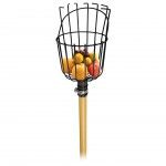 Apanha Frutos Cabo  ref� FAFC FLUX