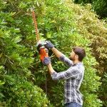 Corta-Sebes 500W 50cm refª BEHTS301-QS BLACK DECKER Corta-Sebes 500W 50cm refª BEHTS301-QS BLACK DECKER