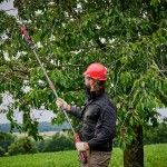 Barra telesc�pica para tesoura poda GP-LS 18/28 Li BL ref� 3408322 EINHELL