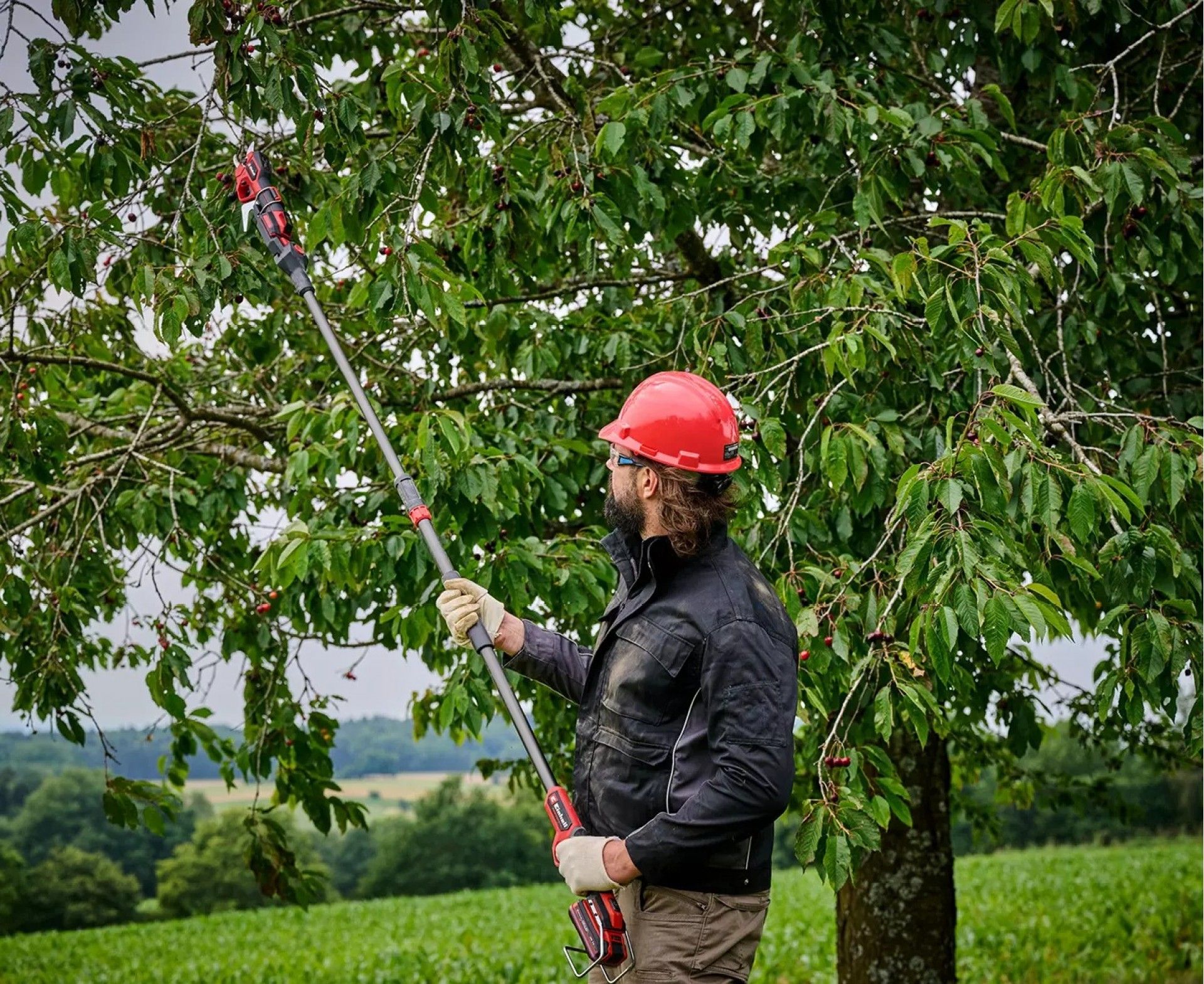 Barra telescópica para tesoura poda GP-LS 18/28 Li BL refª 3408322 EINHELL