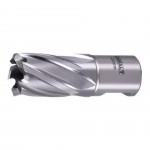 Morango anular para coluna magnética Ø 20mm refª DT8403-XJ DEWALT Morango anular para coluna magnética Ø 20mm refª DT8403-XJ DEWALT